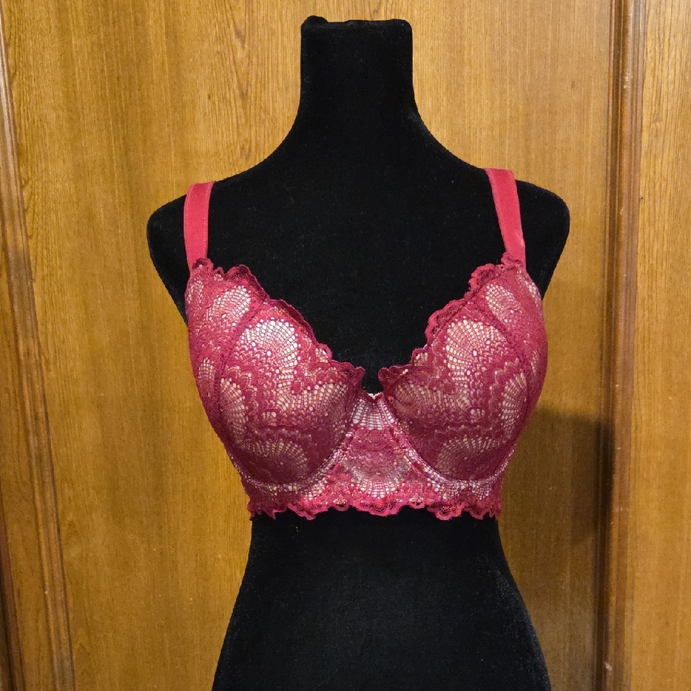 Camio Mio Lace Bra in Garnet Red - 34DDD
